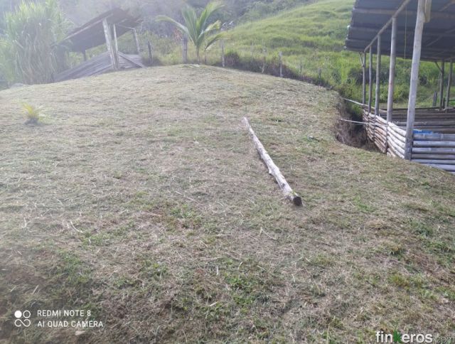 San Isidro - Finca en San Luis, Antioquia